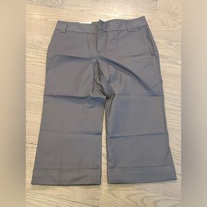 Banana Republic NWT Grey Martin Fit Capris - SZ 10